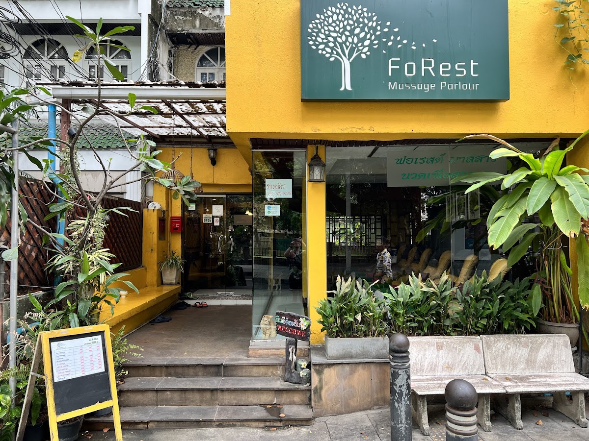 Forest massage parlour — photo 1